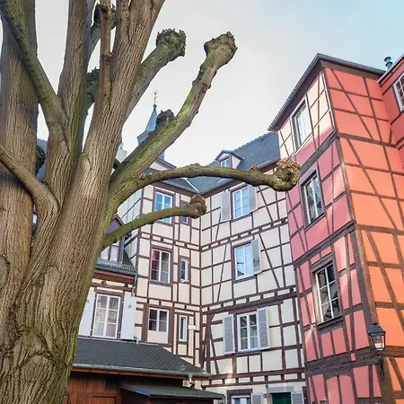 Apartment Mon Amour